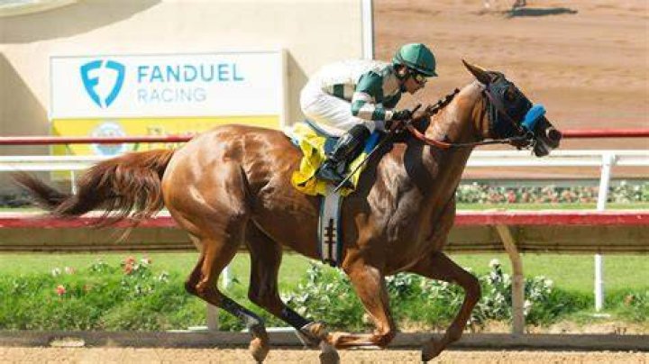 Bob Baffert's Family 5 Fast Facts You Need to Know