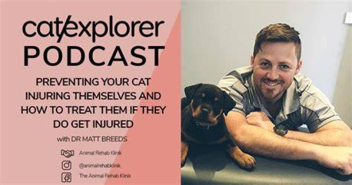 Dr Matt Breeds Animal Rehab Klinik