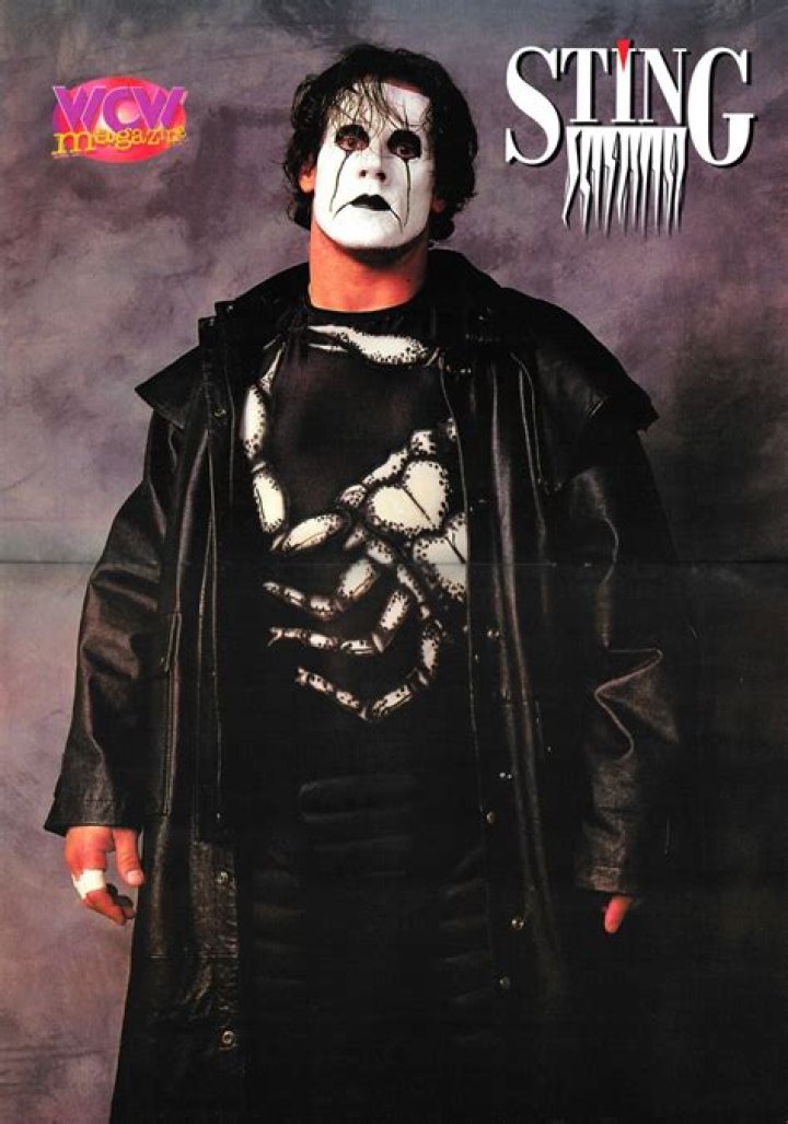 Sting on Twitter Sting wcw, Wcw wrestlers, Wrestling superstars
