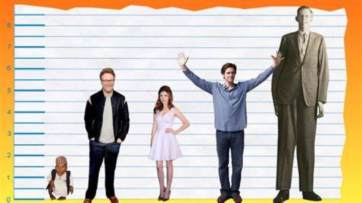 Unveiling The Height Of Seth Rogen: How Tall Is He Really?